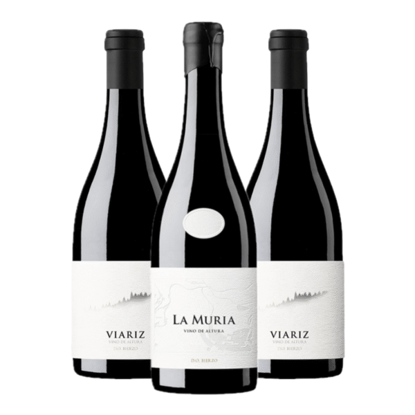LA MURIA 2023 (CUPO) | Excepcional | 100p Parker | Raúl Pérez