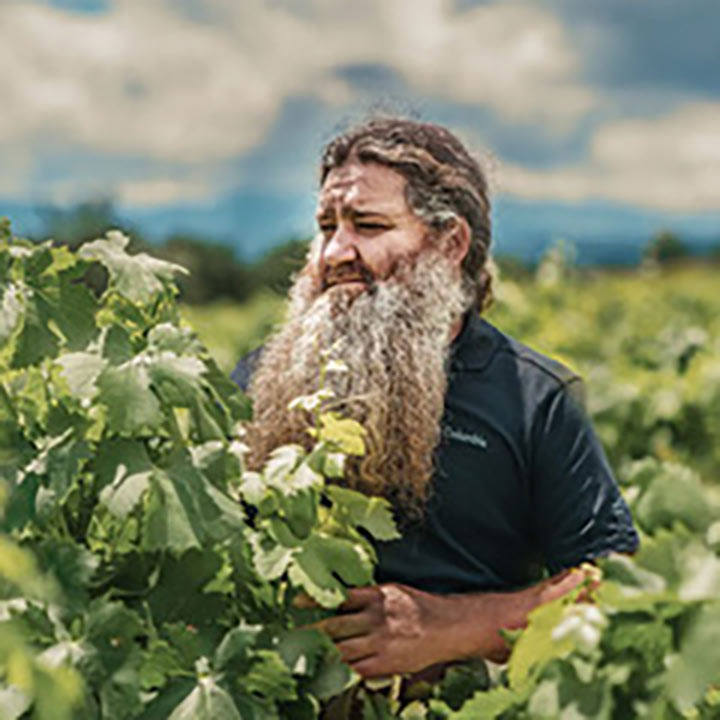 Raul-Perez vinos Raúl Pérez