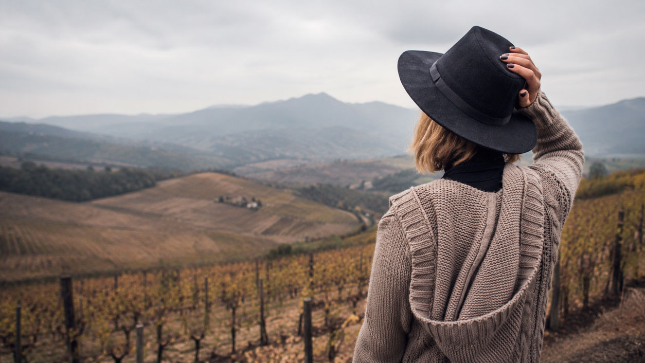 vinos del Bierzo