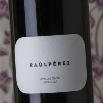 RAUL PEREZ ANFORA 2018 - Imagen 2