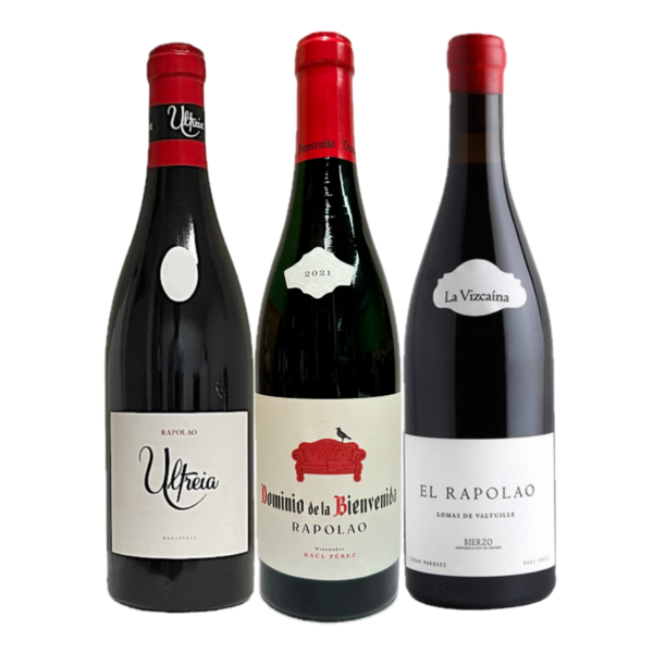 RAUL PEREZ COLECCION EL RAPOLAO