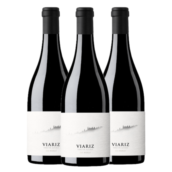 VERTICAL VIARIZ (2021, 2022 y 2023)