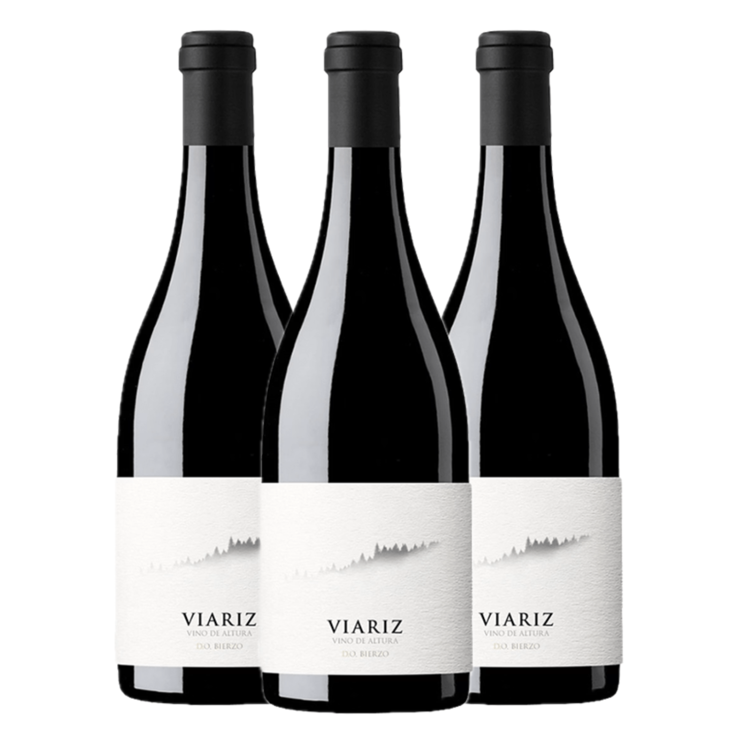 VERTICAL VIARIZ (2021, 2022 y 2023)