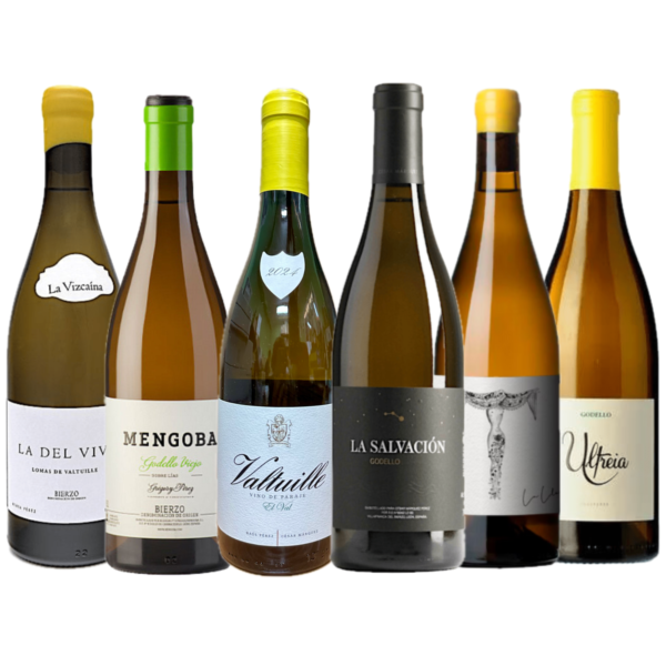 COLECCION GODELLOS DEL BIERZO 2024