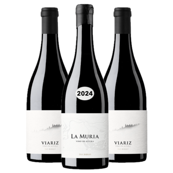 LA MURIA 2024