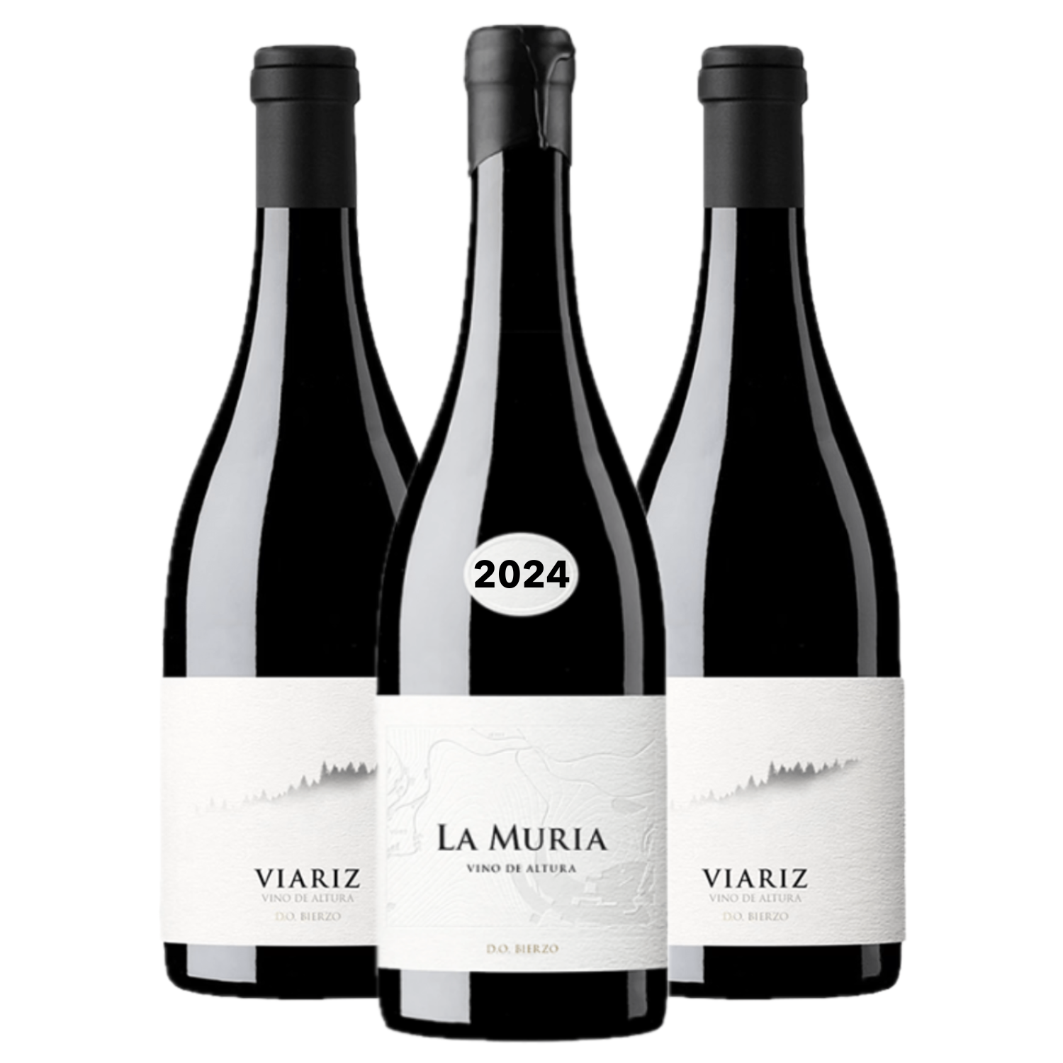 LA MURIA 2024